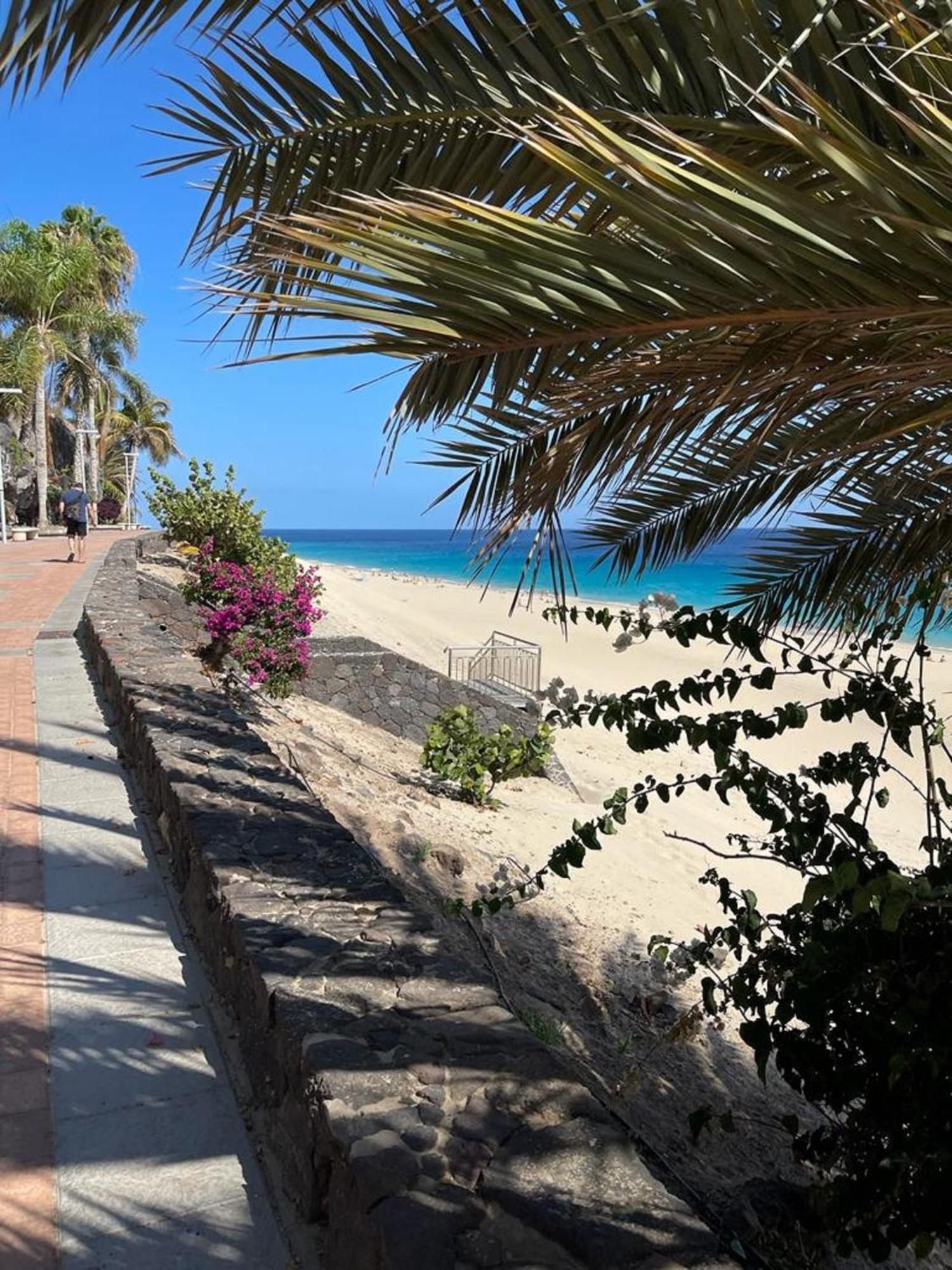 Casa Reina Daire Playa Jandia Dış mekan fotoğraf