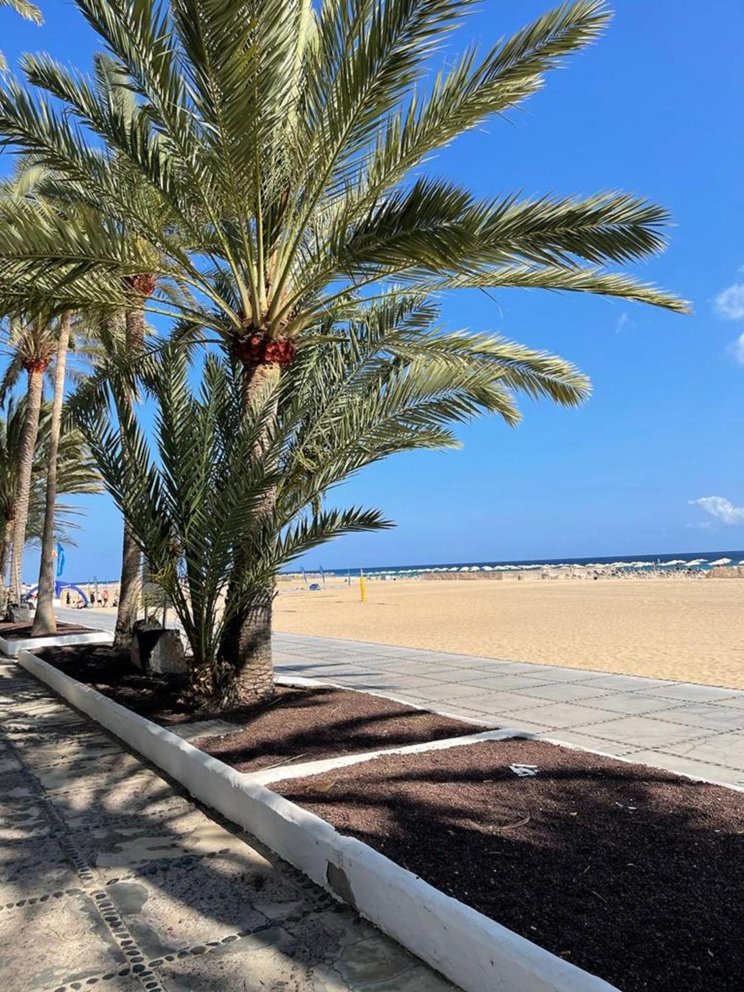 Casa Reina Daire Playa Jandia Dış mekan fotoğraf