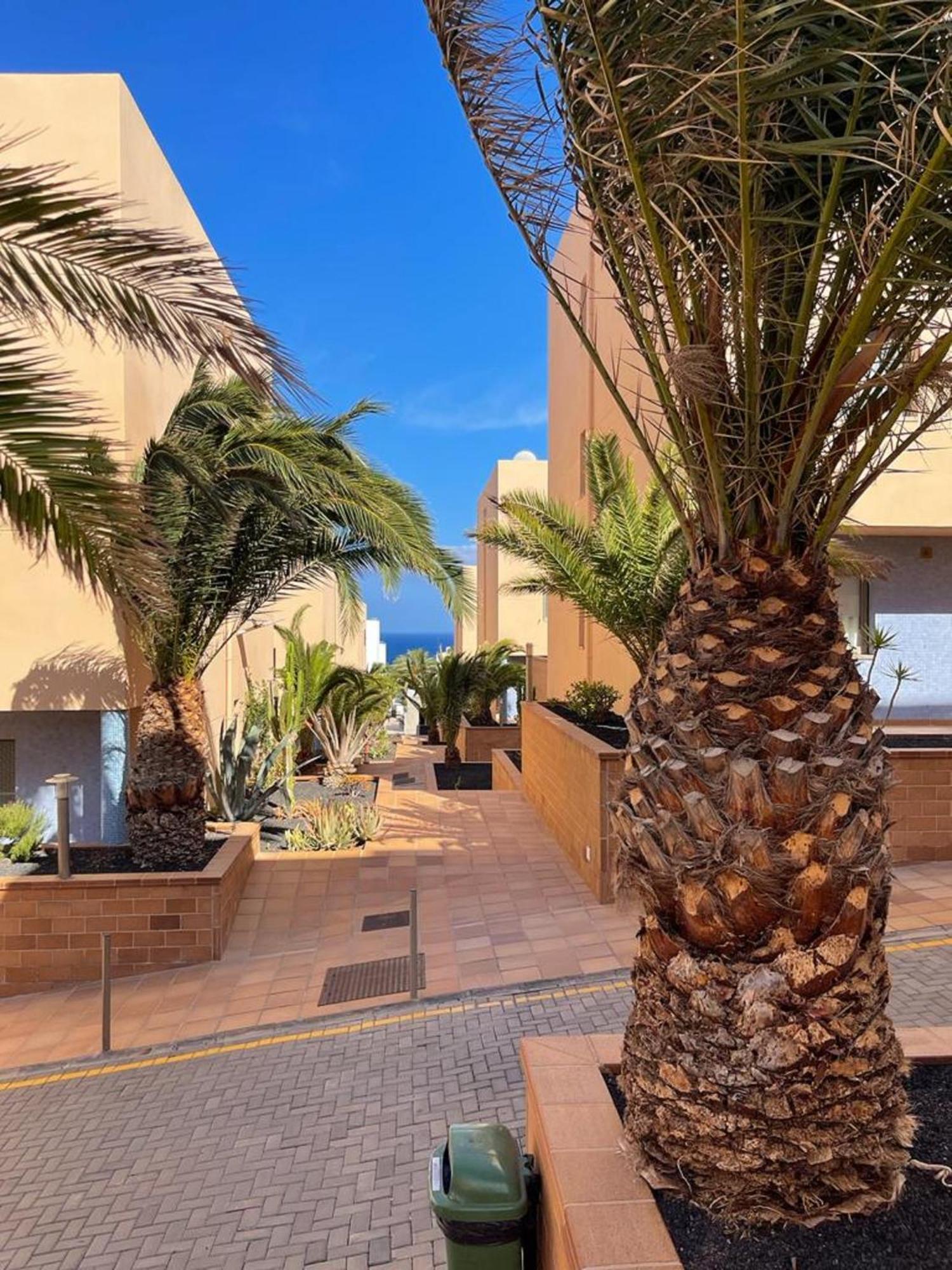 Casa Reina Daire Playa Jandia Dış mekan fotoğraf